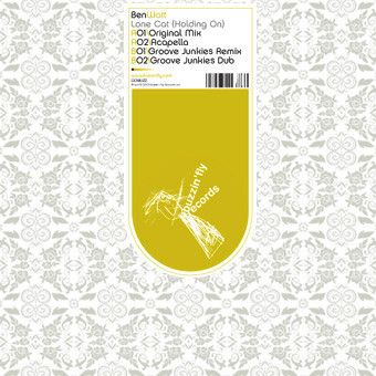 Ben Watt - Lone Cat (Holding On) - Buzzin' Fly Records