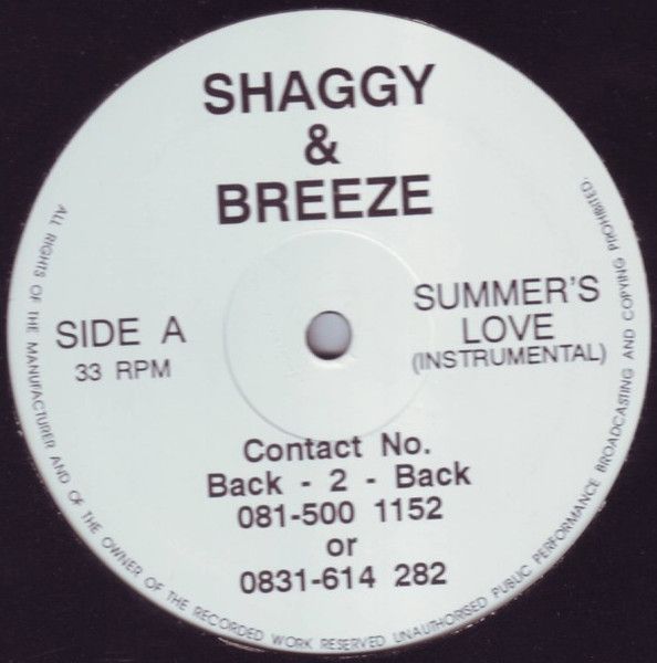 Shaggy & Breeze - Summer's Love / Exposure - Artificial Insomnia Records