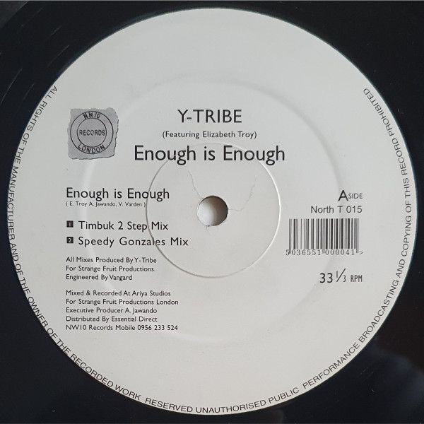 Y-Tribe Featuring Elisabeth Troy - Enough Is Enough - Northwest10 Records