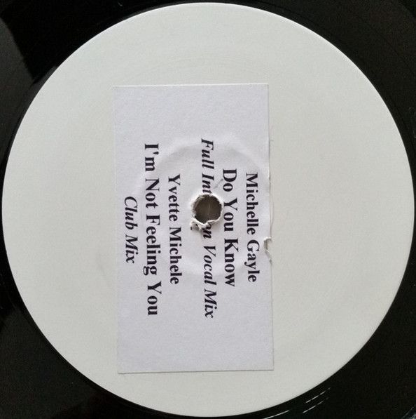Michelle Gayle , Yvette Michele - Do You Know / I'm Not Feeling You - Not On Label
