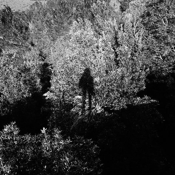 Panoram - Background Story - Wandering Eye