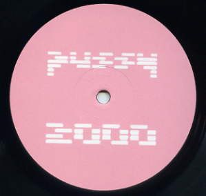 Pussy 2000 - Ain't No Love Around The World - Spacefunk Recordings