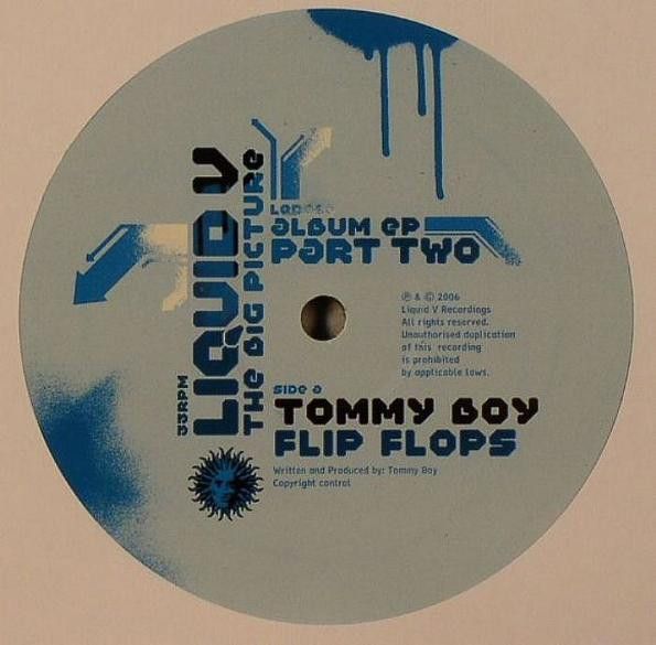 Various - The Big Picture Album EP Part Two - Liquid V