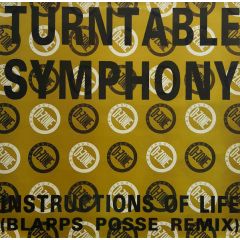Turntable Symphony - Turntable Symphony - Instructions Of Life (Blapps Posse Remix) - D-Zone Records