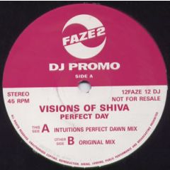 The Visions Of Shiva - The Visions Of Shiva - Perfect Day - Faze 2