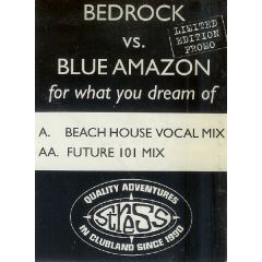 Bedrock Vs. Blue Amazon - Bedrock Vs. Blue Amazon - For What You Dream Of - Stress Records