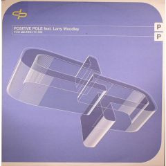 Positive Pole Feat. Larry Woodley - Positive Pole Feat. Larry Woodley - You Belong To Me - Virgin, Ultralab