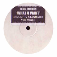 Industry Standard - What You Want (2000 Remixes) - Trick Records