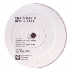 Craig David - Rise & Fall (Remixes) (Pt.2) - Wildstar