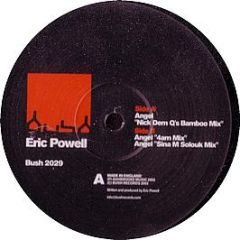 Eric Powell - Angel - Bush