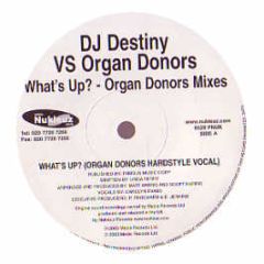 DJ Destiny Vs Organ Donors - What's Up - Nukleuz Black