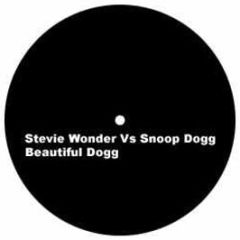 Stevie Wonder & Snoop Dogg - Beautiful Dogg - Beauty 1