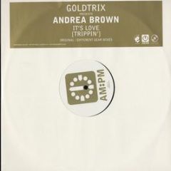 Goldtrix Pres. Andrea Brown - It's Love (Trippin) - Am:Pm
