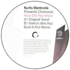 Kurtis Mantronik Pres Chamonix - How Did You Know (Disc I) - Southern Fried