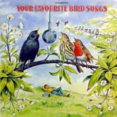 Bbc Radiophonic Workshop - Your Favourite Bird Songs - Bbc Records