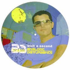 Analogic Disturbance - Wait A Second (Picture Disc) - Suntec