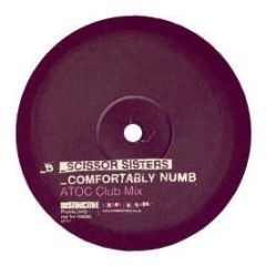 Scissor Sisters - Comfortably Numb - Distinctive
