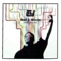 TY - Wait A Minute (Remix) - Big Dada