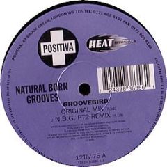 Natural Born Grooves - Groovebird - Positiva