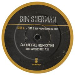 Bim Sherman - Can I Be Free From Crying - Mantra