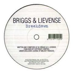 Briggs & Lievense - Breakdown - Multitracks