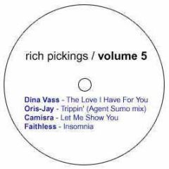 Dina Vass - The Love I Have For You - Rich Pickings Vol 5