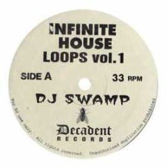 DJ Swamp Presents - Infinite House Loops Vol. 1 - Swamp