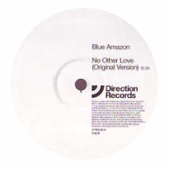 Blue Amazon Vs Darren Tate - The Other Love / No Other Love - Direction 