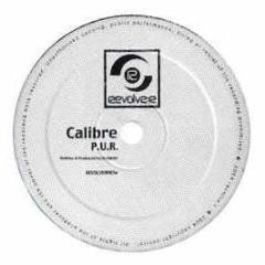 Calibre - P.U.R / Cold Halo - Revolve:R
