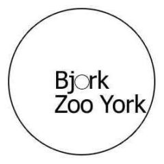 Bjork - Zoo York (Remix) - X