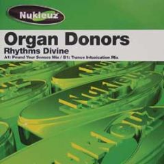 Organ Donors - Rhythms Divine - Nukleuz Green