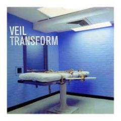 Veil (Oliver Ho) - Transform EP - Light & Dark