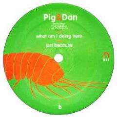 Pig & Dan - What Am I Doing Here - Submission
