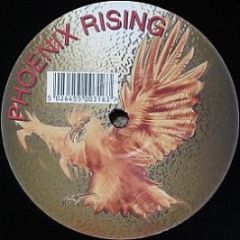 Montini Experience Ii - My House Is Your House - Phoenix Rising