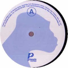 Pascal Feos - Omychron EP - Primate
