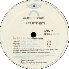 Barbara Brown - Dammelo - Alter Native Route