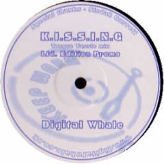 Digital Whale - Kissing - Keep Warm Recordings