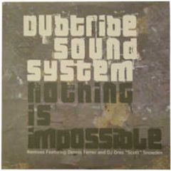 Dubtribe Sound System - Nothing Is Impossible - Defected