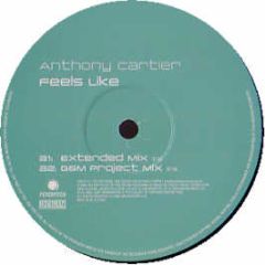 Anthony Cartier - Feels Like - Feverpitch
