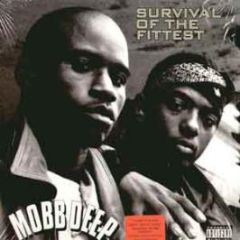 Mobb Deep - Survival Of The Fittest - Loud