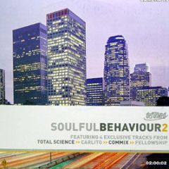 Various Artists - Soulful Behaviour Vinyl Sampler - Defunked