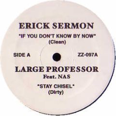Erick Sermon / Large Professor Ft Ft Q-Tip - If You Don't Know By Now / In The Sun - ZZ 