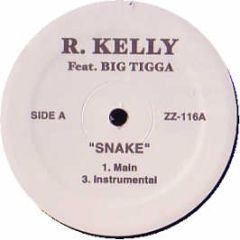 R Kelly / Punjabi MC Ft Jay Z - Snake / Beware Of The Boys - ZZ 