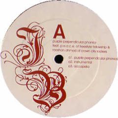 J Boogies Dubtronic Science - Purple Perpendicular Phonics - Om Records