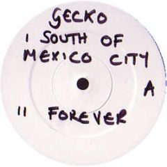 Gecko - South Of Mexico City EP - Rb 12
