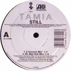 Tamia - Still (Dance Mixes) - Atlantic