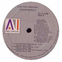 David Benoit - Can You Imagine - Avi Records