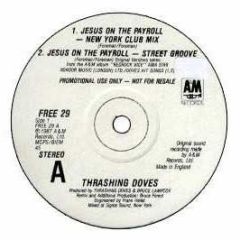 Thrashing Doves  - Jesus On The Payroll - A&M