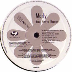 Marly - You Never Know - Motivo