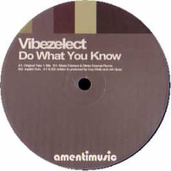 Vibezelect - Do What You Know - Amenti
